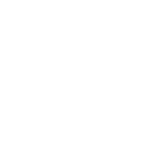 Professional Makeup Artist, makeup, makeup artist