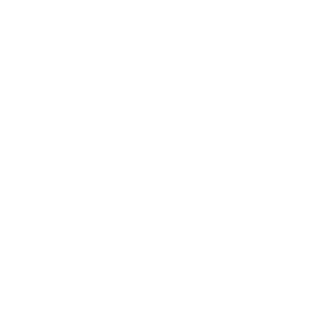 Professional Makeup Artist, makeup, makeup artist