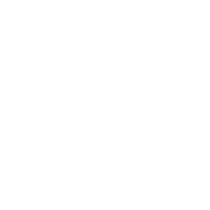 Professional Makeup Artist, makeup, makeup artist